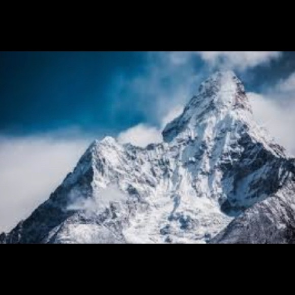 Meet your Posher, Lauren - Picture 1 of 1